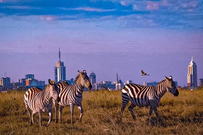 NAIROBI NATIONAL PARK