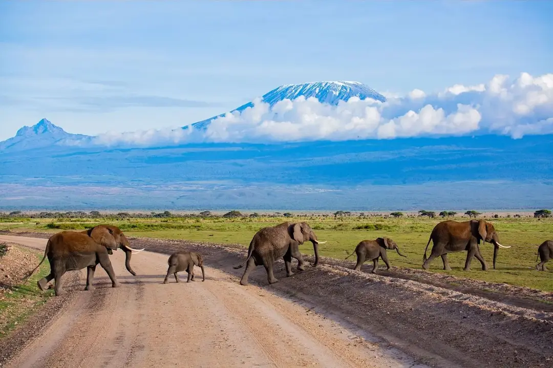 AMBOSELI NATIONAL PARK