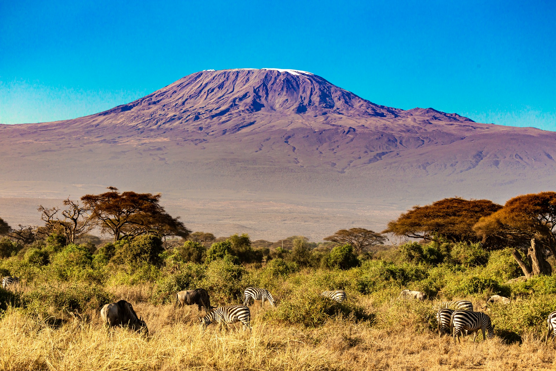 Amboseli National Park