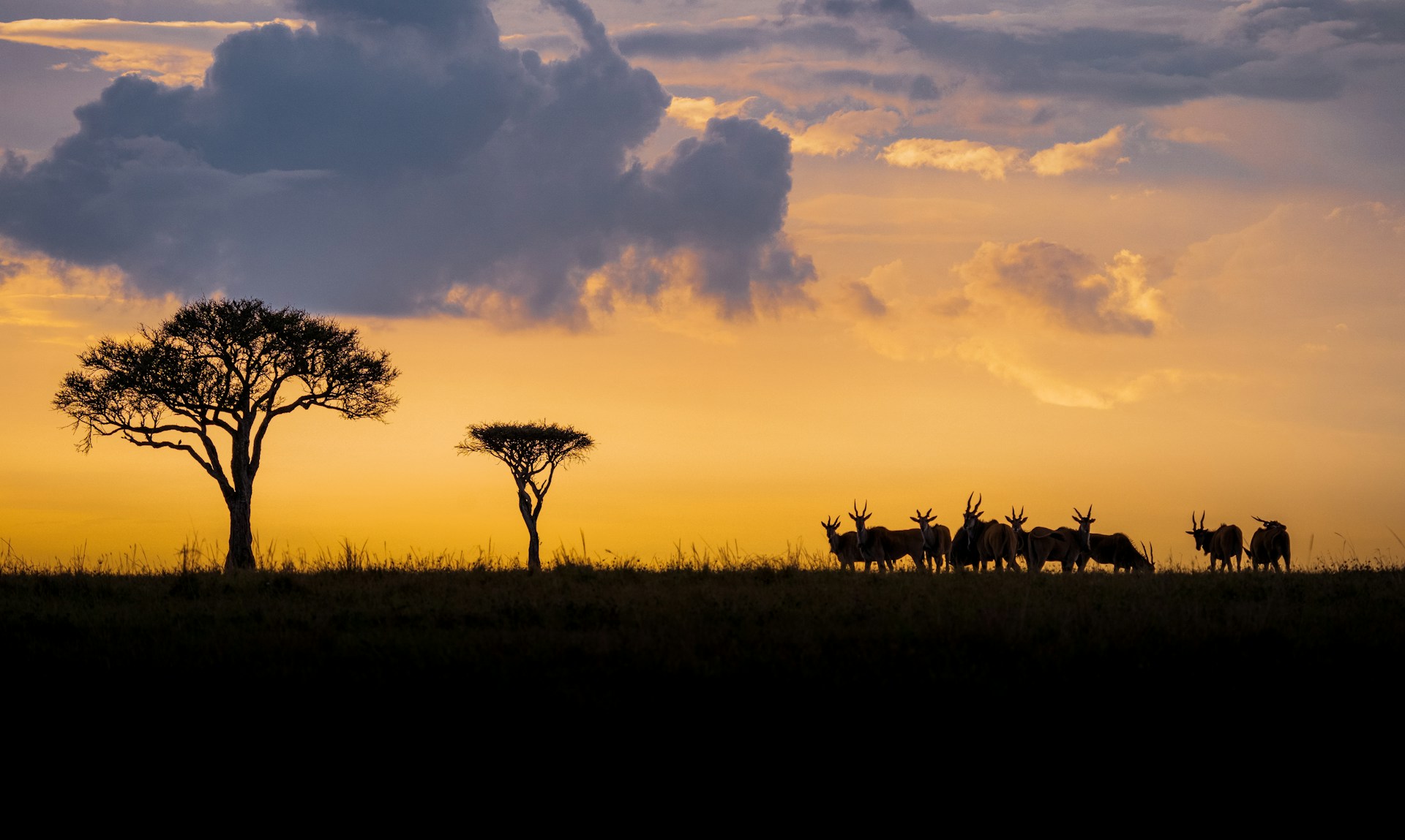 Maasai Mara Great Migration Safari